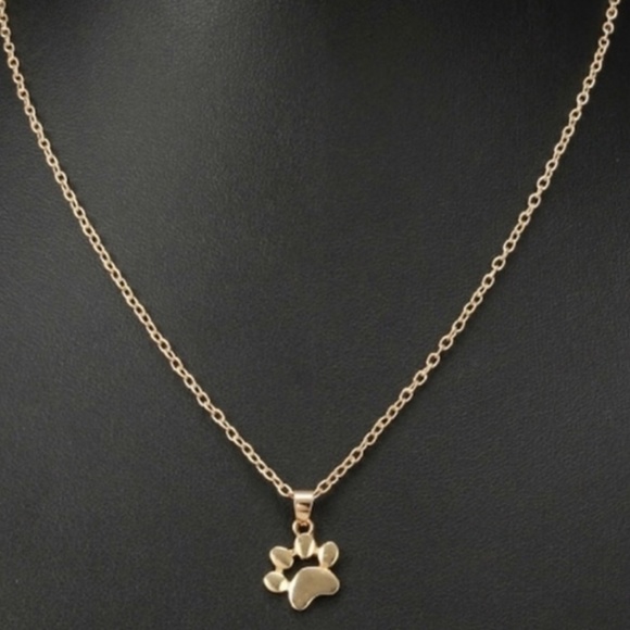 Paw 🐾 Dog 🐕 Cat 🐈 Necklace - Picture 3 of 4